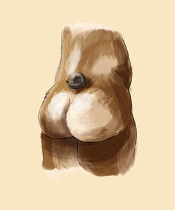 geis, american_bulldog, anthro, brown_body, brown_fur
