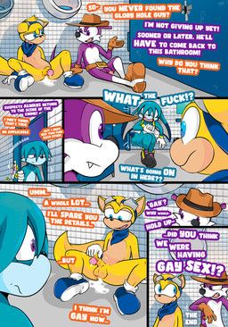 fang_the_hunter, kitsunami_the_fennec, ray_the_flying_squirrel, idw_publishing, sega