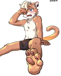 meogi, 4_toes, 5_fingers, anthro, arm_tuft
