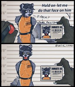 cooper_the_raccoon, hold_on_let_me_do_the_face, weird_cooper, 420_(number), 621_(number)