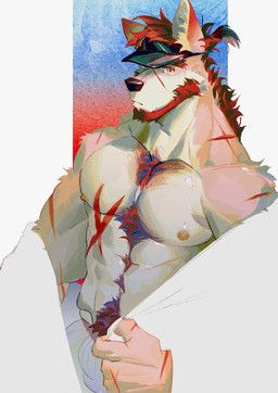 seatohao, abs, anthro, barazoku, beard