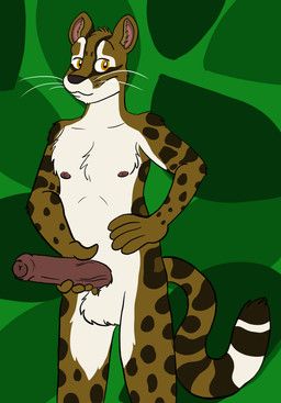 tabbiewolf, 5_fingers, anthro, balls, big_penis