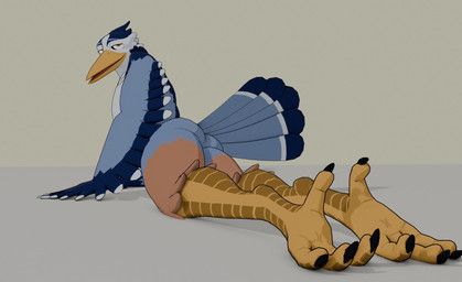 corvynth, anthro, avian, beak, bedroom_eyes