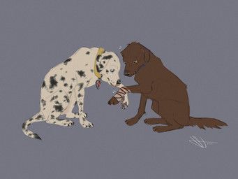 marshall_(paw_patrol), zuma_(paw_patrol), paw_patrol, stormyskies11, bandage