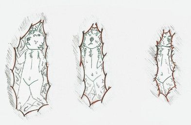 benny_bunford, jachymor, ambiguous_gender, ambiguous_vore, anthro