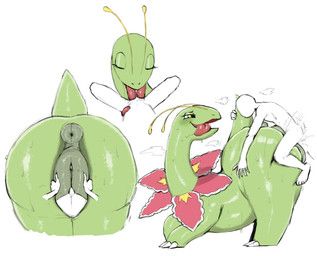 anon, nintendo, pokemon, ferretidk, animal_genitalia