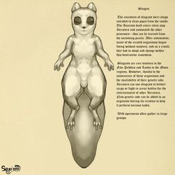 rain_world, videocult, seyti, anatomy, black_eyes