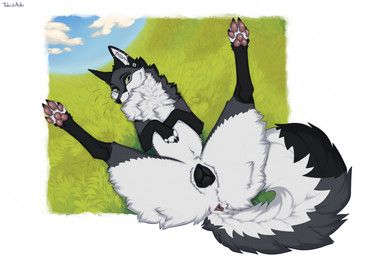 taka_fox, a.o.kigahara_(artist), taka_(artist), anatomically_correct, anatomically_correct_genitalia