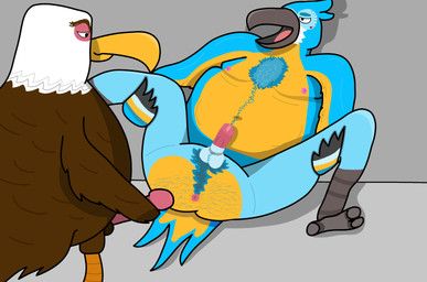 kass_(tloz), mighty_eagle, angry_birds, breath_of_the_wild, nintendo