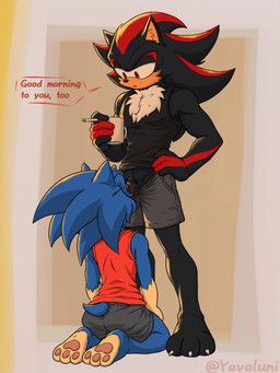 shadow_the_hedgehog, sonic_the_hedgehog, sega, sonic_the_hedgehog_(series), yeveluni
