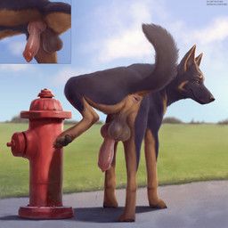 harper_(harpershep), patreon, virtyalfobo, anatomically_correct, anatomically_correct_feral