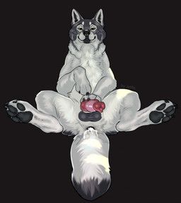 maugrim_(chronicles_of_narnia), jetraraven, 4_toes, after_anal, anal_fluids
