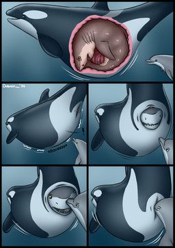 dolorcin, ambiguous_gender, aquatic, belly, big_belly