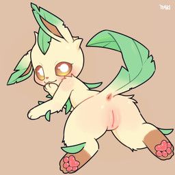 nintendo, pokemon, ttaki, anus, blush
