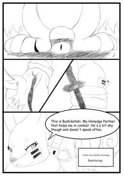 bushikatagi_(nestman009), tomoe_(nestman009), nintendo, pokemon, nestman009