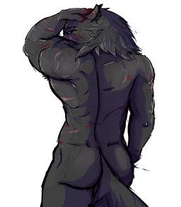 blaidd_(elden_ring), elden_ring, fromsoftware, vannillama, anthro