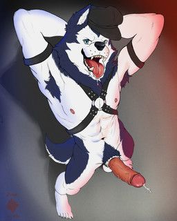bau_husky, gab_(comic), john_howl, accessory, animal_genitalia