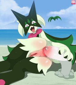 nintendo, pokemon, sarox, ambiguous_gender, anal