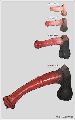penis_lineup, equus_abiectus, after_transformation, animal_genitalia, animal_penis