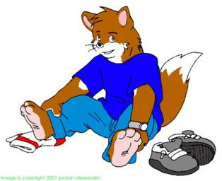 maxwolf, 4_toes, anthro, barefoot, blue_bottomwear