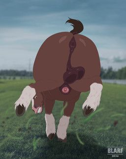 blarf, animal_genitalia, animal_penis, anus, balls