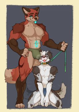 archy_fox, coastal_shep, wolfhowl, abs, anthro