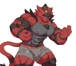 nintendo, pokemon, dakrpo, abs, anthro