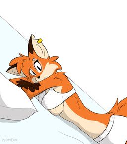 nortfox, alice_(nortfox), anthro, bandage, bottomwear