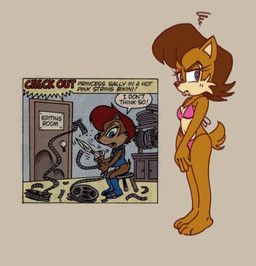 sally_acorn, sega, sonic_the_hedgehog_(series), hot-coco, anthro