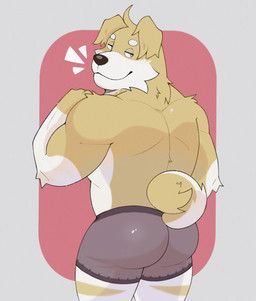 hitzuca, anthro, back_muscles, black_nose, boxer_briefs