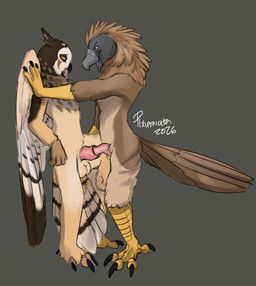 nacht_uil_(character), pirate_eagle, pixiemiata, accipitrid, accipitriform
