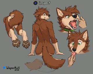 mutt_(wagnermutt), wagnermutt, 4_toes, ambiguous_gender, anthro