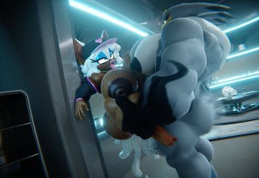 rouge_the_bat, storm_the_albatross, sega, sonic_riders, sonic_the_hedgehog_(series)