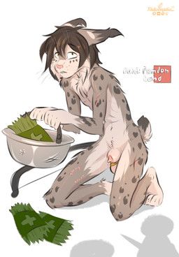 rocky_(xleb0rezka), rimworld, xleb0rezka, animal_genitalia, anthro
