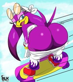 wave_the_swallow, sega, sonic_riders, sonic_the_hedgehog_(series), story_delight