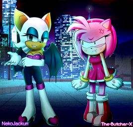amy_rose, rouge_the_bat, sega, sonic_the_hedgehog_(series), nekojackun
