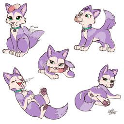 ahsoka_(littlebolty), nekostar, 4_toes, after_orgasm, after_sex