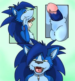 zing_(character), fox0808, 4_fingers, animal_genitalia, animate_inanimate