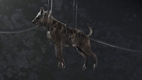 hiad, anal, anal_penetration, animal_genitalia, animal_penis
