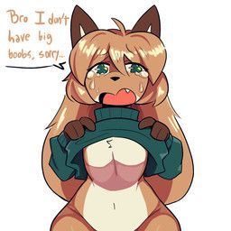 averi_(fiddleafox), astonarts, conditional_dnp, ahoge, anthro