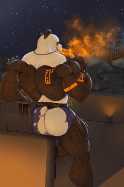 pandapower897, vic_p, back_muscles, balls, bear