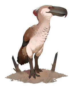 combos-n-doodles, 3_toes, ambiguous_feral, ambiguous_gender, avian