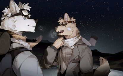 seatohao, anthro, backpack, bandage, bandage_on_face