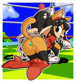 honey_the_cat, sega, sonic_the_fighters, sonic_the_hedgehog_(series), gaturo