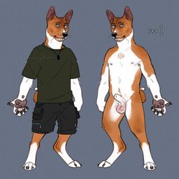 fernsigillum, animal_genitalia, anthro, balls, basenji