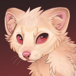 feve, albino, ambiguous_gender, cheek_tuft, european_polecat