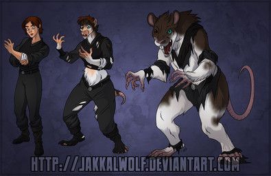 jakkal, angry, anthro, belt, big_ears