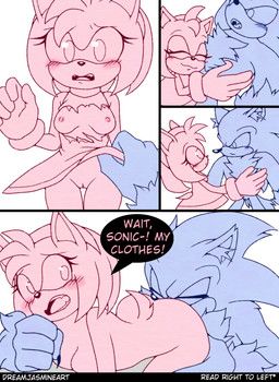 amy_rose, sonic_the_werehog, sega, sonic_the_hedgehog_(series), sonic_unleashed