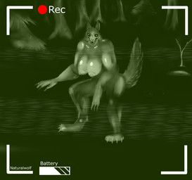 mythology, naturalwolf, anthro, breasts, camera