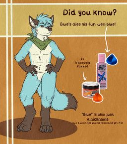 blue_(kantachibli), kantachibli, 4_toes, 5_fingers, anthro